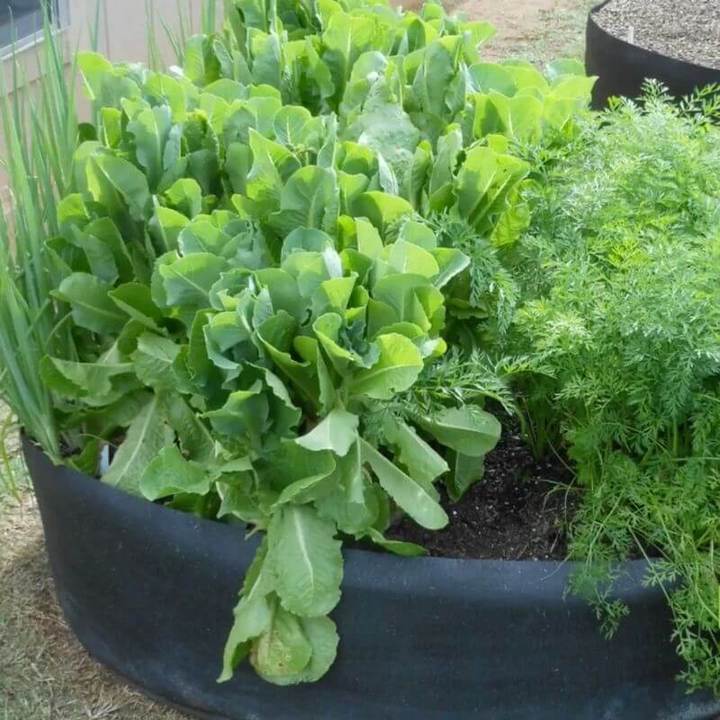 Raised Fabric Flower Bed