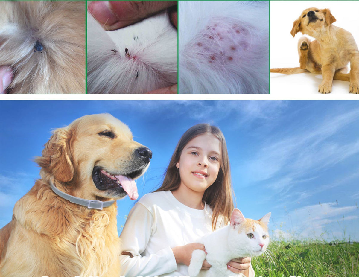 Flea and Tick Guard Collar For Dogs