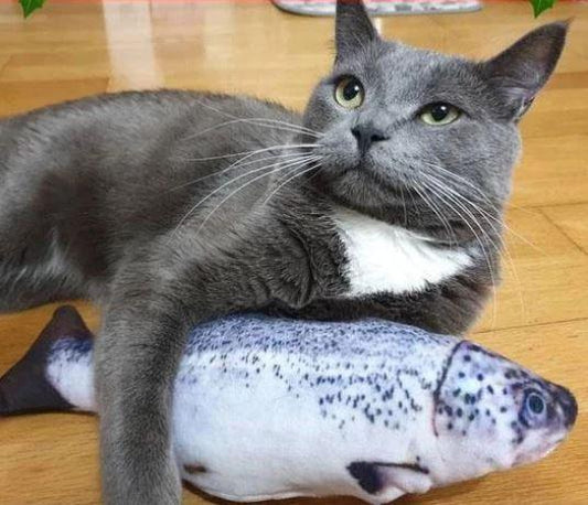 Realistic Flopping Fish Toy for Cats
