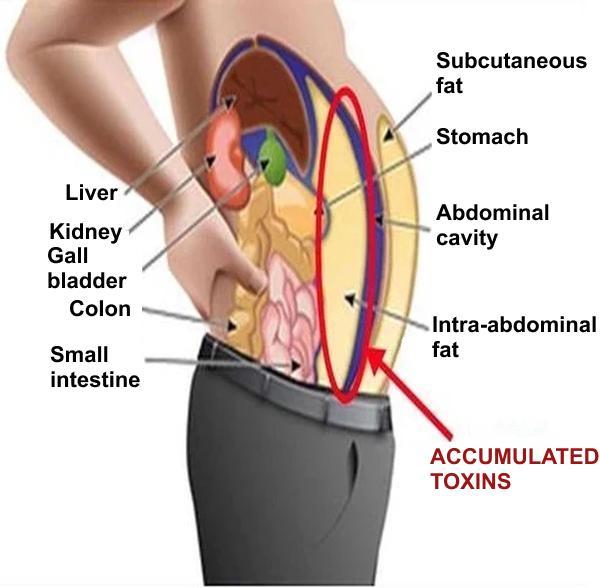 Detoxifying Slimming Patches