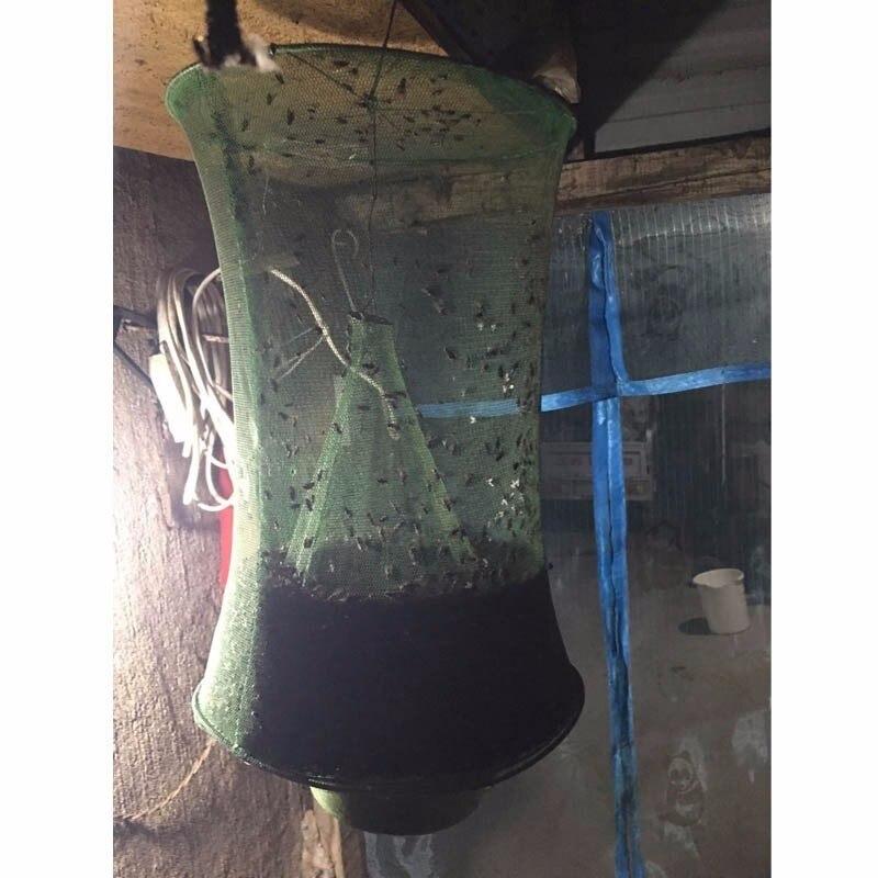Reusable Fly Trap