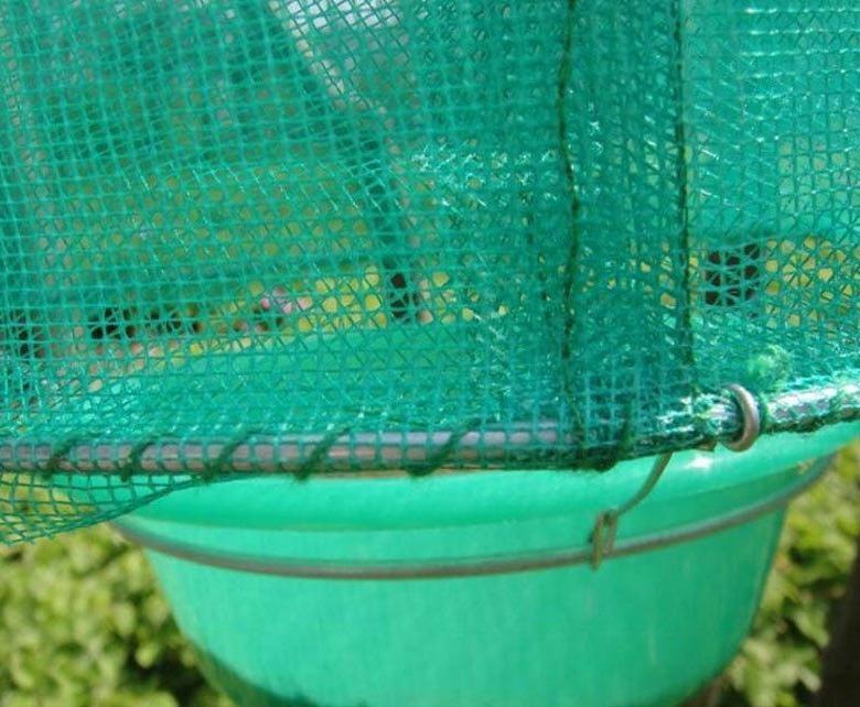 Reusable Fly Trap