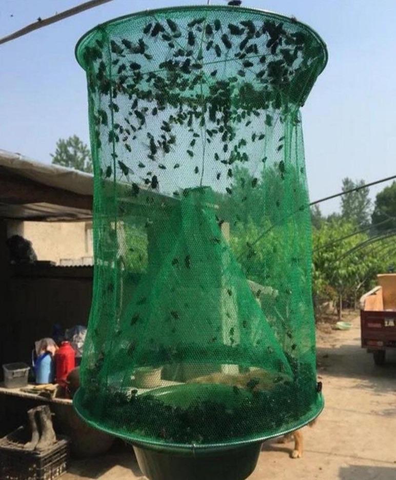 Reusable Fly Trap