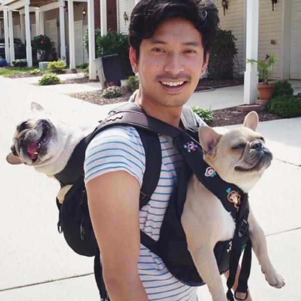 POOCH PACK - DOG CARRIER BAG